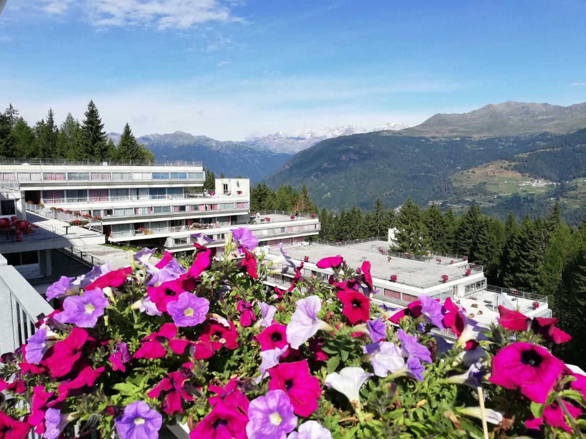 Sole Alto Appartamenti Montana Mezzana  Dış mekan fotoğraf